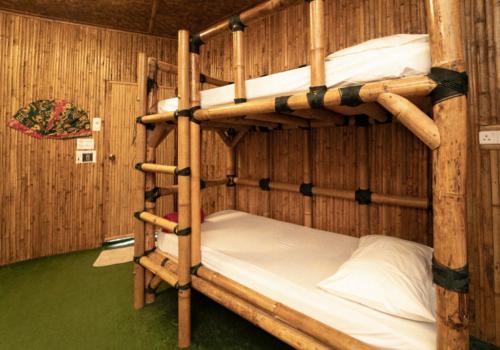 - deux lits superposés dans une chambre dans l'établissement Tadom Hill Resorts, à Kampong Labohan Dagang