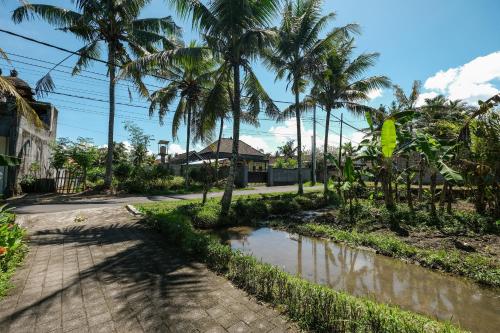une rue avec des palmiers et un chemin de terre dans l'établissement Loka Loka Ubud, à Gianyar