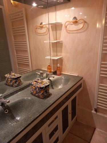 La salle de bains est pourvue d'un lavabo et d'un miroir. dans l'établissement GITE ENTRE TERRE ET MER GRAND STUDIO, à Mareuil-sur-Lay