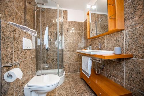 a bathroom with a toilet and a sink and a shower at Burg Gutenfels in Kaub