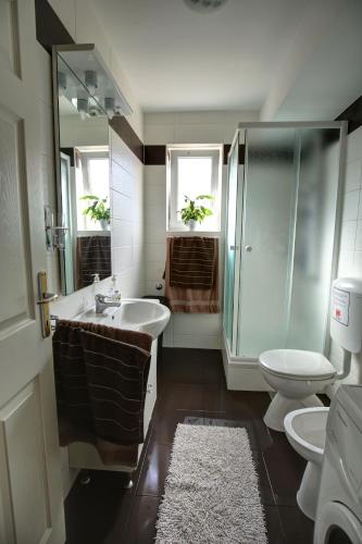 a bathroom with a sink and a shower and a toilet at Apartment Sally in Čižići