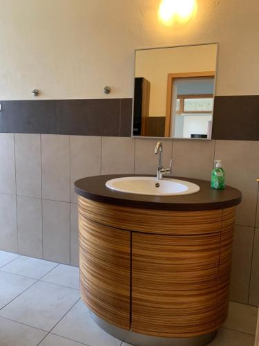a bathroom with a sink and a mirror at Haus Burmeister in Sassnitz