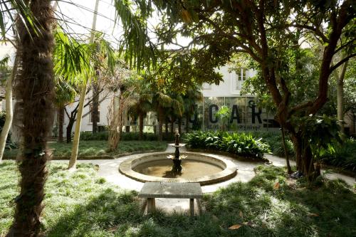 アレッツォにあるSUGAR ROOMS Residenza d'Epocaの木立公園中の噴水