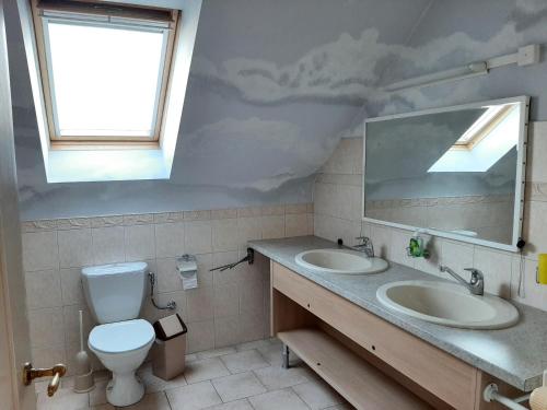 a bathroom with a toilet and a sink and a mirror at Aan het Singelhof - Bellefleur*** met sunshower en tuin in Sint-Truiden