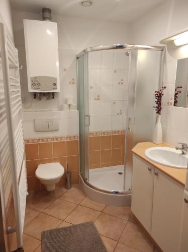 un bagno con doccia, WC e lavandino di DoMo apartment a Středokluky