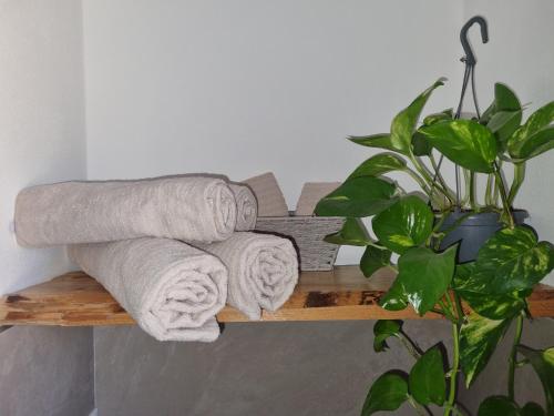 uma pilha de toalhas numa prateleira de madeira ao lado de uma planta em dal vecio Carli em SantʼAmbrogio di Valpolicella