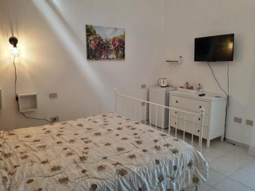 a bedroom with a bed and a dresser and a television at Agriturismo Il Cipresso in Vada