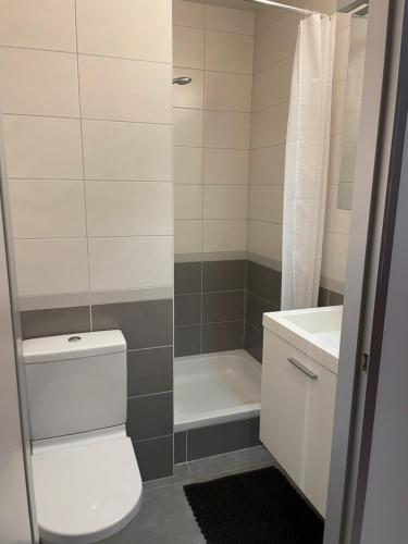 een badkamer met een toilet, een wastafel en een douche bij Studio zeezicht Nieuwpoort in Nieuwpoort