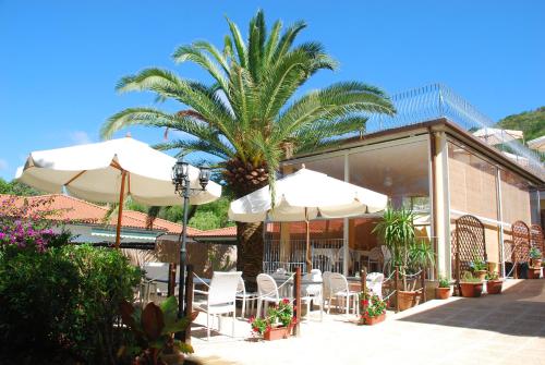 a palm tree in front of a building with chairs and umbrellas at Hotel Villa Wanda in Porto Azzurro