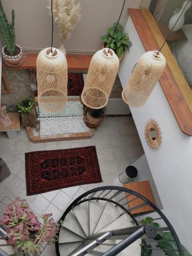 d'un salon avec des plantes en pot. dans l'établissement Le Clos du Lys, à Châlons-en-Champagne