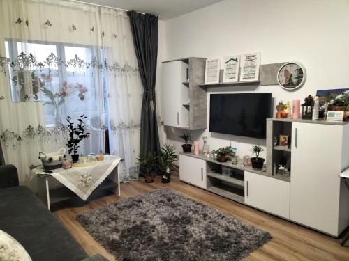 ein Wohnzimmer mit einem TV und einem Sofa in der Unterkunft Iuli in Iaşi