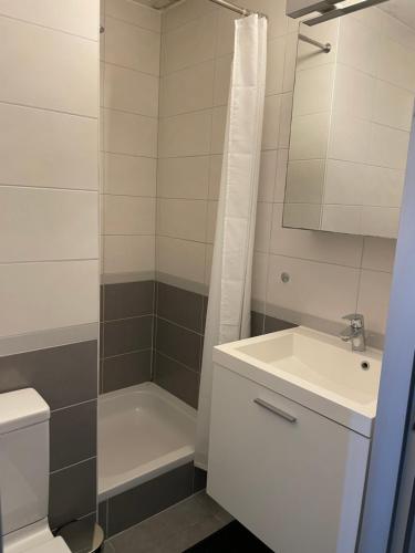 La salle de bains est pourvue d'une douche, d'un lavabo et de toilettes. dans l'établissement Appartement Nieuwpoort, à Nieuport
