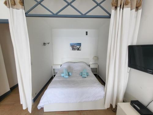 1 dormitorio con 1 cama con almohadas azules y TV en LE COLOMBIER STUDIO, en Antibes