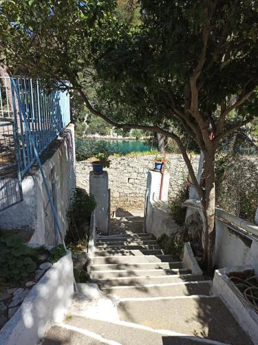 a set of stairs with a tree on top at San Giorgio in Gaios