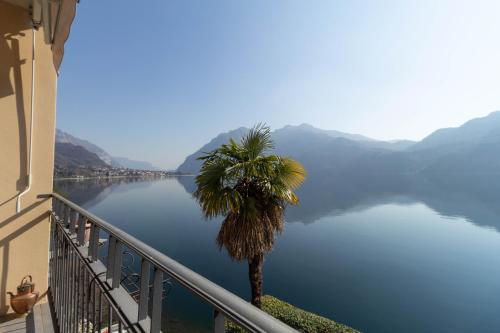 un palmier sur un balcon avec vue sur le lac dans l'établissement Mamma Ciccia Holiday Home - Waterfront Apartment, à Mandello del Lario