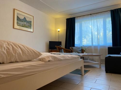 a bedroom with a bed and a table and a window at Kapitänshaus in Bad Schandau