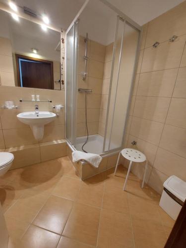 a bathroom with a shower and a sink and a toilet at Apartament Nad Parsętą in Kołobrzeg
