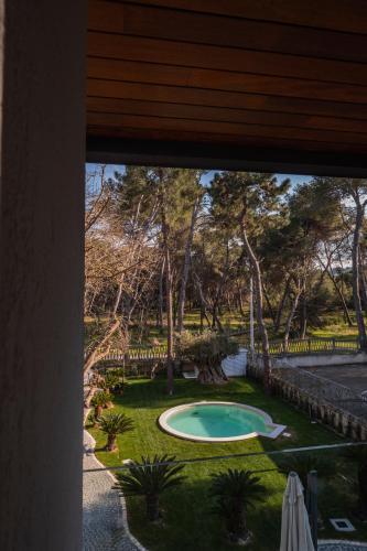 a window view of a yard with a small pool at Luxury B&B La Riserva Dannunziana in Pescara