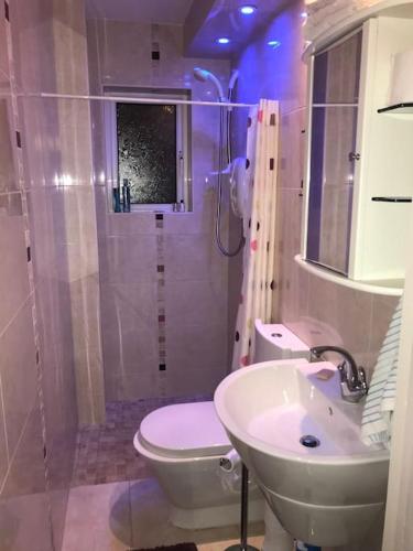a bathroom with a shower and a toilet and a sink at Four Winds, Ross, Killala. in Killala