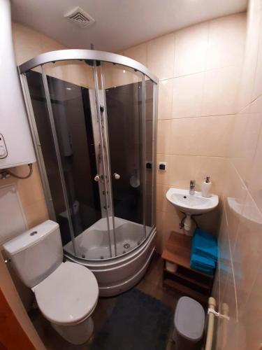 a bathroom with a shower and a toilet and a sink at Dzintaru 97 in Pāvilosta
