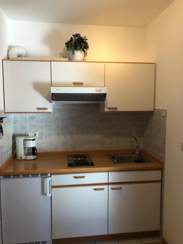 Η κουζίνα ή μικρή κουζίνα στο Appartement am Lindenfeld