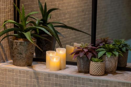 a row of candles and potted plants on a counter at Maison Cardinal Furstemberg in Paris