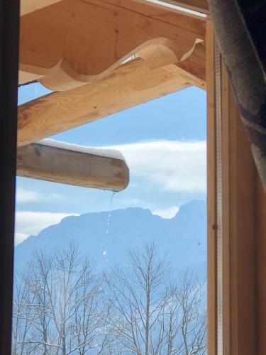 a window with a view of trees and mountains at Bajkowy domek in Kościelisko