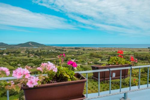two pots of flowers on a balcony with a view at panoramic LOFT Fora e ' Muros with sea view common terrace , Ammentos Posada in Posada