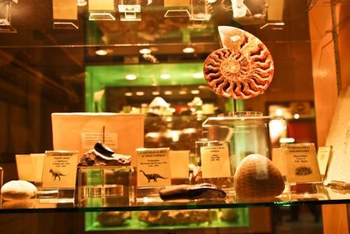 Imagen de la galería de Green Lodges, en Blaregnies