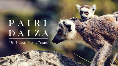 Animales en la casa o chalet o alrededores