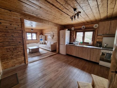 cocina y sala de estar de una cabaña de madera en Casa Alexia en Mătişeşti