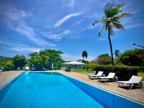 a swimming pool with lounge chairs and a palm tree at Casa Blanca Samaná - Las Galeras in Las Galeras