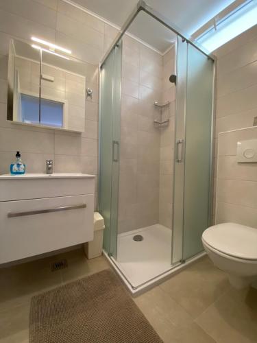 a bathroom with a glass shower and a toilet at Apartments Poljak in Supetarska Draga