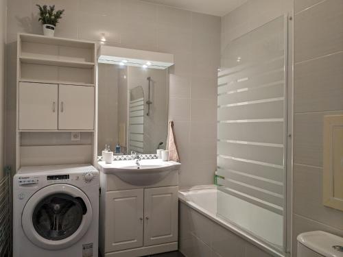 une salle de bain avec une machine à laver et un lavabo dans l'établissement Cocon Annécien entre lac et montagne classé 1 étoile, à Annecy