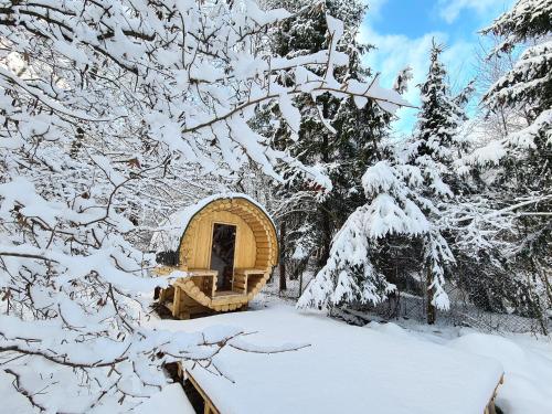 a snow covered cabin in the woods at Na Hamaku in Marzysz