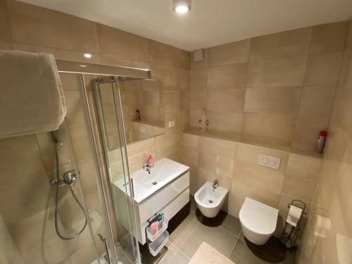 a bathroom with a shower and a toilet and a sink at Villa Jessica in Novigrad Istria