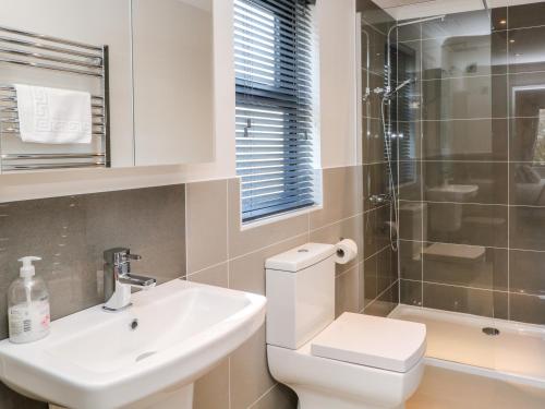 a bathroom with a toilet and a sink and a shower at Mayflower in Lifton