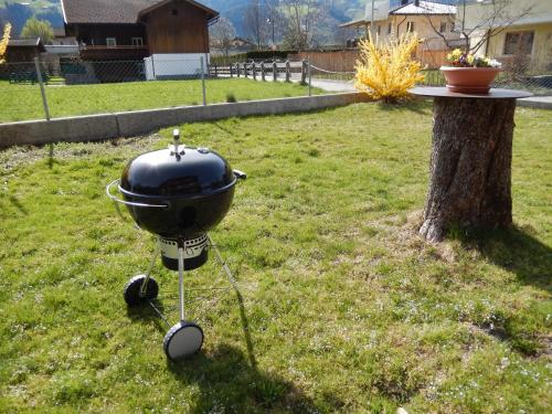 a grill sitting in the grass next to a tree at Landhaus Gollner in Uderns
