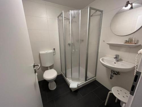 a bathroom with a shower and a toilet and a sink at Hotel Zum Großen Krug in Wirdum