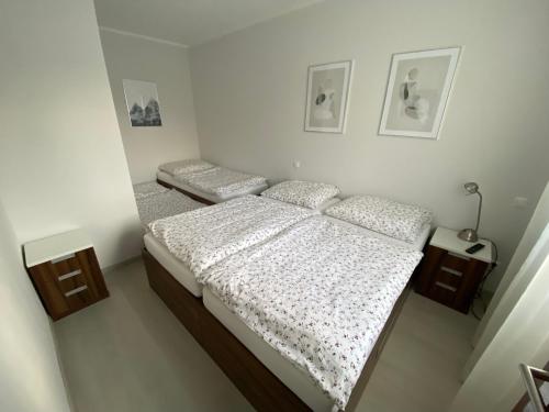 a bedroom with two twin beds and a mirror at Apartmán v Koutech in Kouty