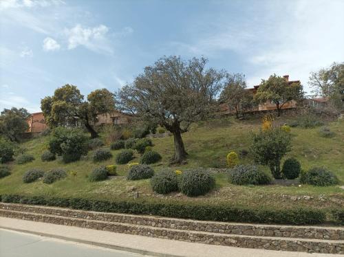 a garden with bushes and a tree on a hill at Mi capricho de Candeleda in Candeleda