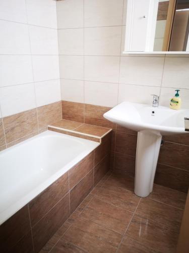 La salle de bains est pourvue d'un lavabo et d'une baignoire. dans l'établissement Spacious Apartment near Ioannina, à Ioannina