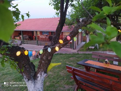 a house with a string of lights on a tree at Dečiji vinogradi Belgrade, Sopot, Kosmaj in Sopot