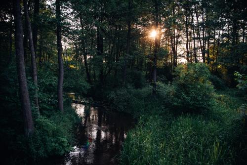 a river with the sun shining through the trees at Na Piaskach Domek nad rzeką Agroturystyka in Narol
