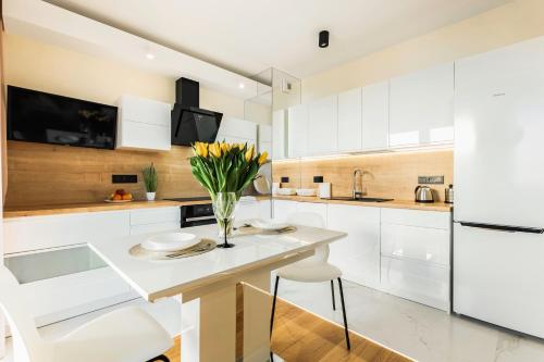 Η κουζίνα ή μικρή κουζίνα στο Aparthotel Plac Litewski Premium