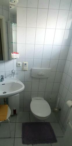 ein weißes Bad mit einem WC und einem Waschbecken in der Unterkunft Miniferienhaus Bad Elster in Bad Elster