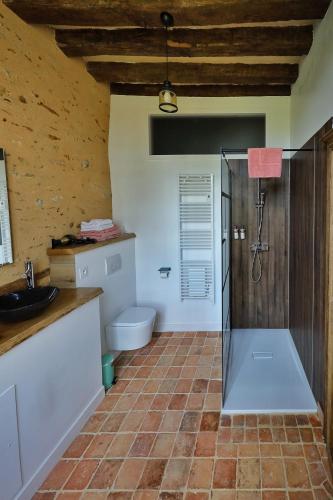 a bathroom with a shower with a toilet and a sink at LE BAS CHITRAY in Ménil