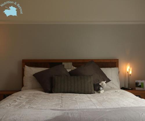 マトロックにあるThe Sycamores Nutrition & Retreatのベッドの上に座るぬいぐるみ