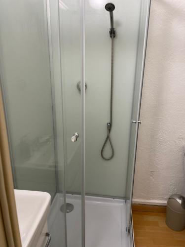 a shower with a glass door in a bathroom at Studio fonctionnel, pratique et bien placé in Vichy