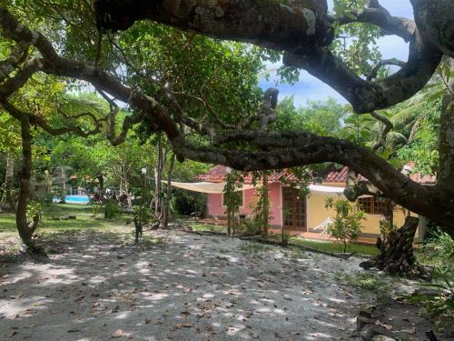 Φωτογραφία από το άλμπουμ του Eco Lodge Serendipity σε Santa Cruz Cabralia